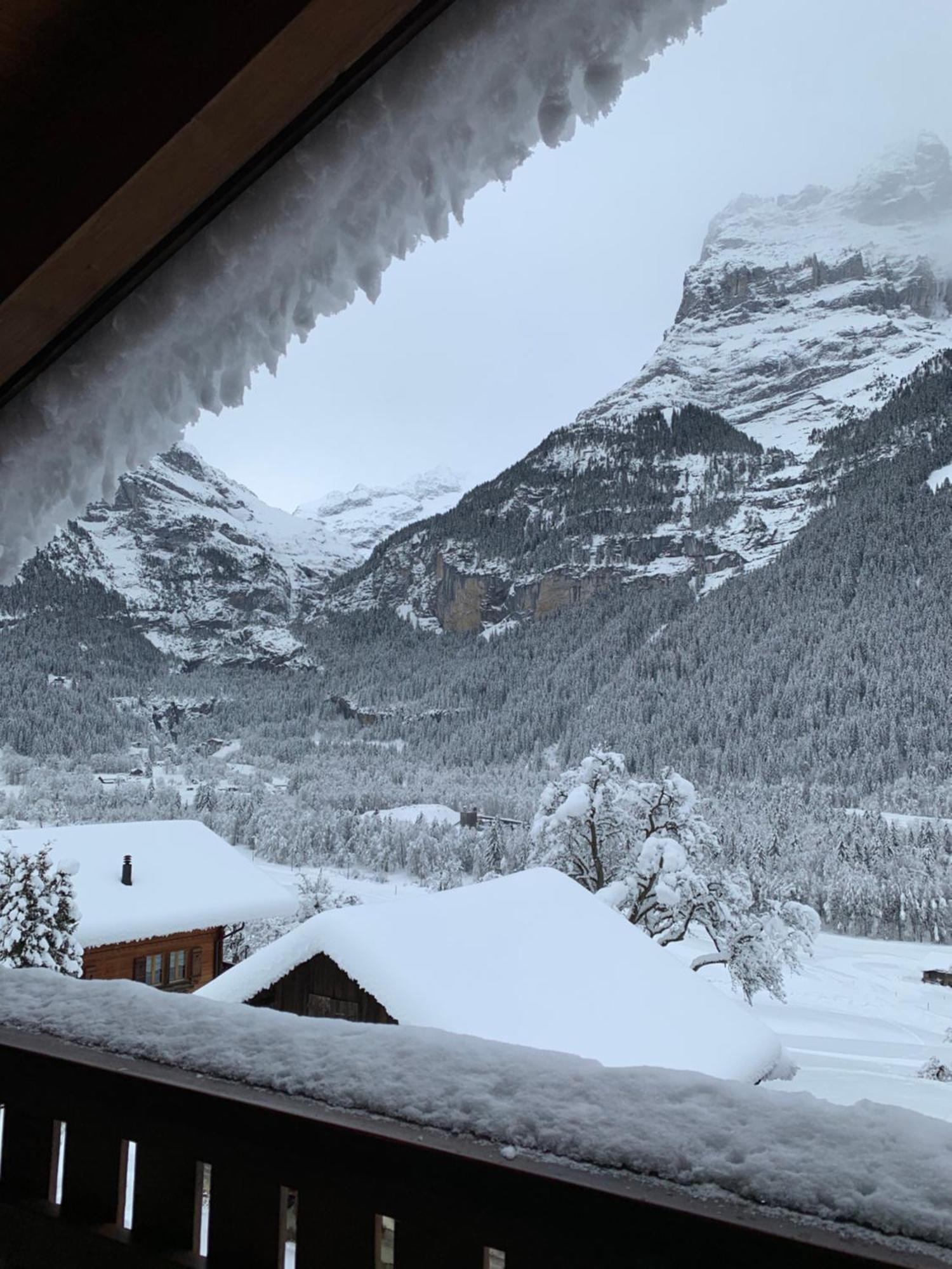 Silberhorn Apartment Grindelwald Bagian luar foto