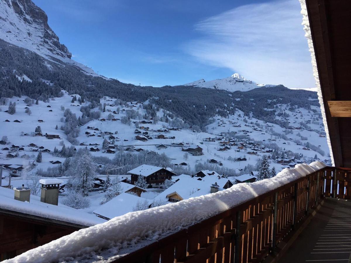 Silberhorn Apartment Grindelwald Bagian luar foto