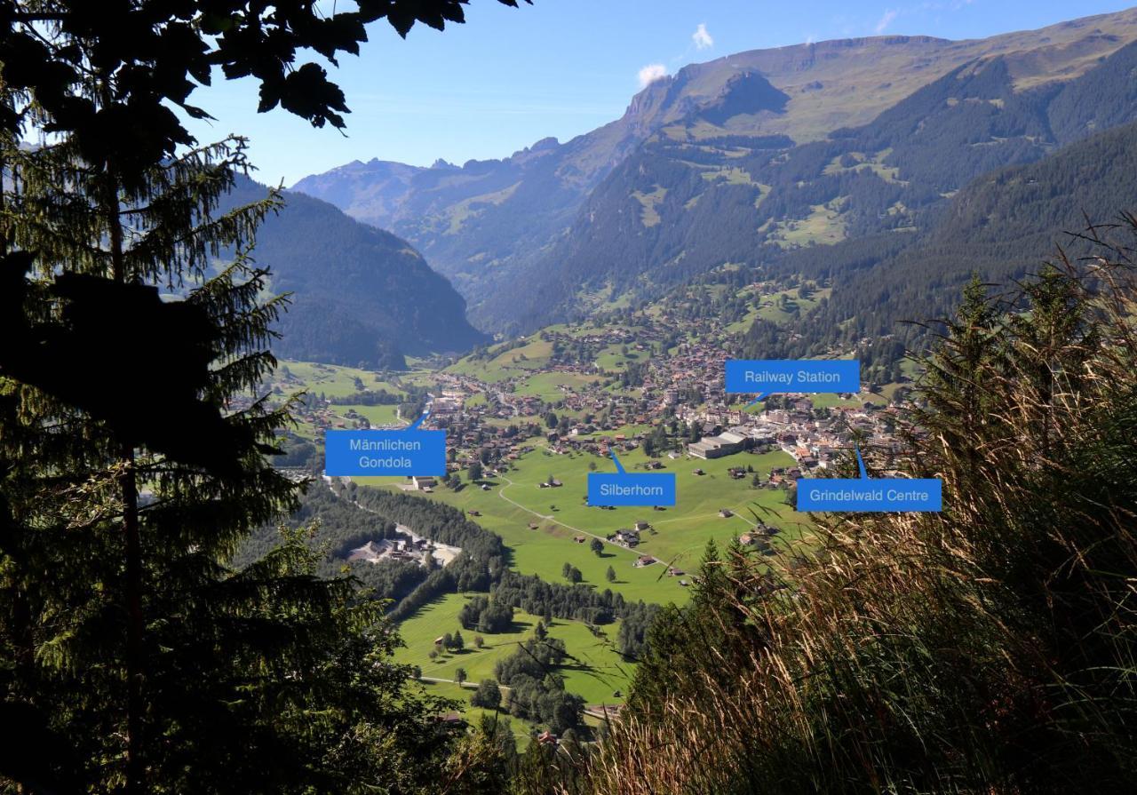Silberhorn Apartment Grindelwald Bagian luar foto