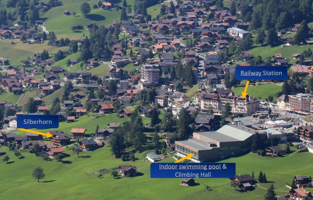 Silberhorn Apartment Grindelwald Bagian luar foto